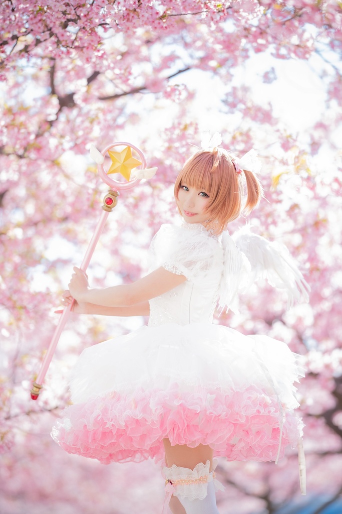 【C102】【ROM】カードキャプターさくらROM「わたしのすきなひと+4」