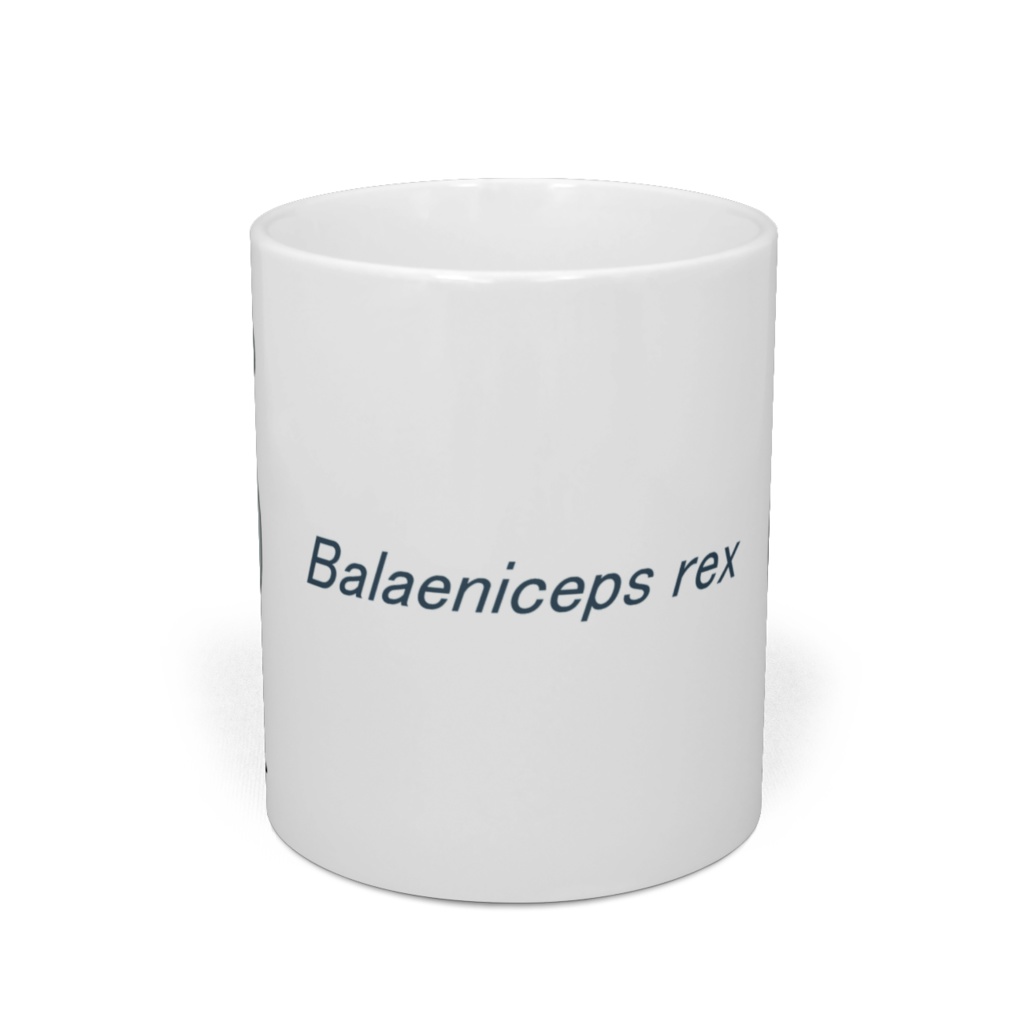 ハシビロコウ仁王立ちマグカップ うらおもて