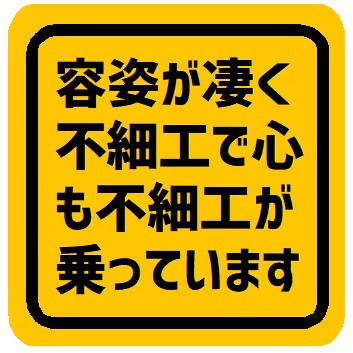 容姿がすごく不細工で心も不細工が乗ってます カー マグネットステッカー