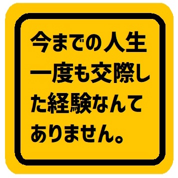 今までに交際した経験ありません カー マグネットステッカー