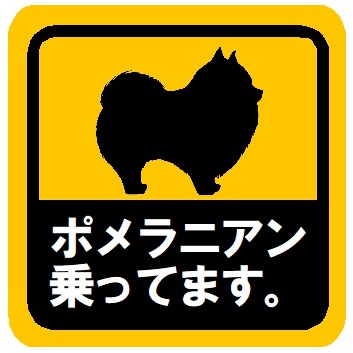 ポメラニアン乗ってます カー マグネットステッカー