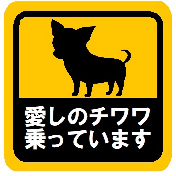 愛しのチワワ乗っています カー マグネットステッカー
