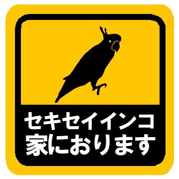 セキセイインコ家におります カー マグネットステッカー