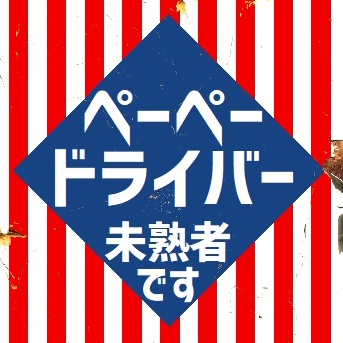 ペーペードライバー 未熟者です カー マグネットステッカー