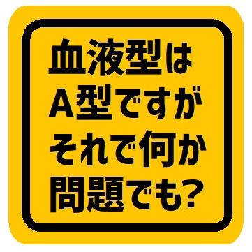 血液型A型ですがそれで何か問題でも？ カー マグネットステッカー