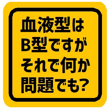 血液型B型ですがそれで何か問題でも？ カー マグネットステッカー