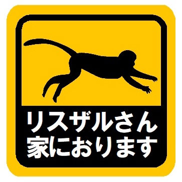 リスザルさん家におります カー マグネットステッカー