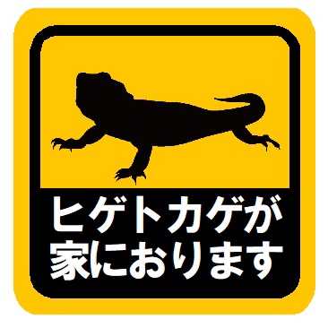 ヒゲトカゲが家におります カー マグネットステッカー