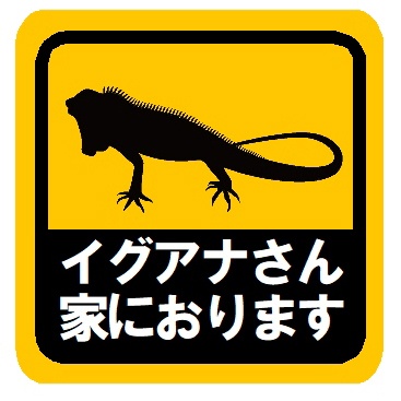 イグアナさん家におります カー マグネットステッカー