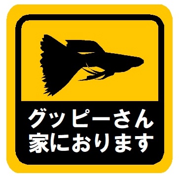 グッピーさん家におります カー マグネットステッカー