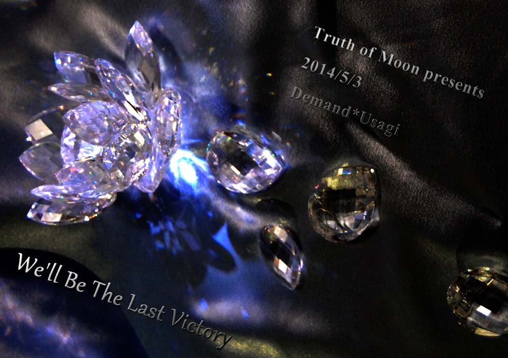 We'll Be The Last Victory