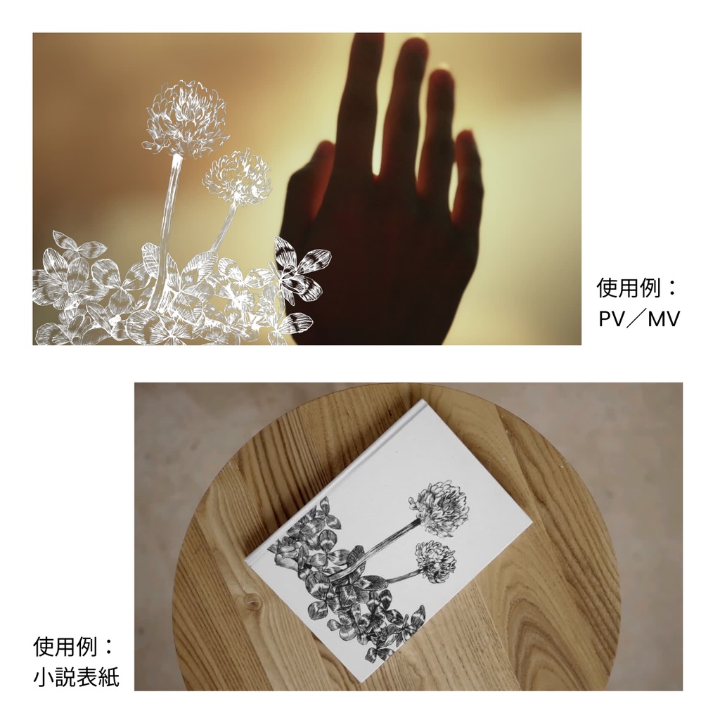 【無料配布】シロツメクサ アニメーション・イラスト素材|PVやMVに