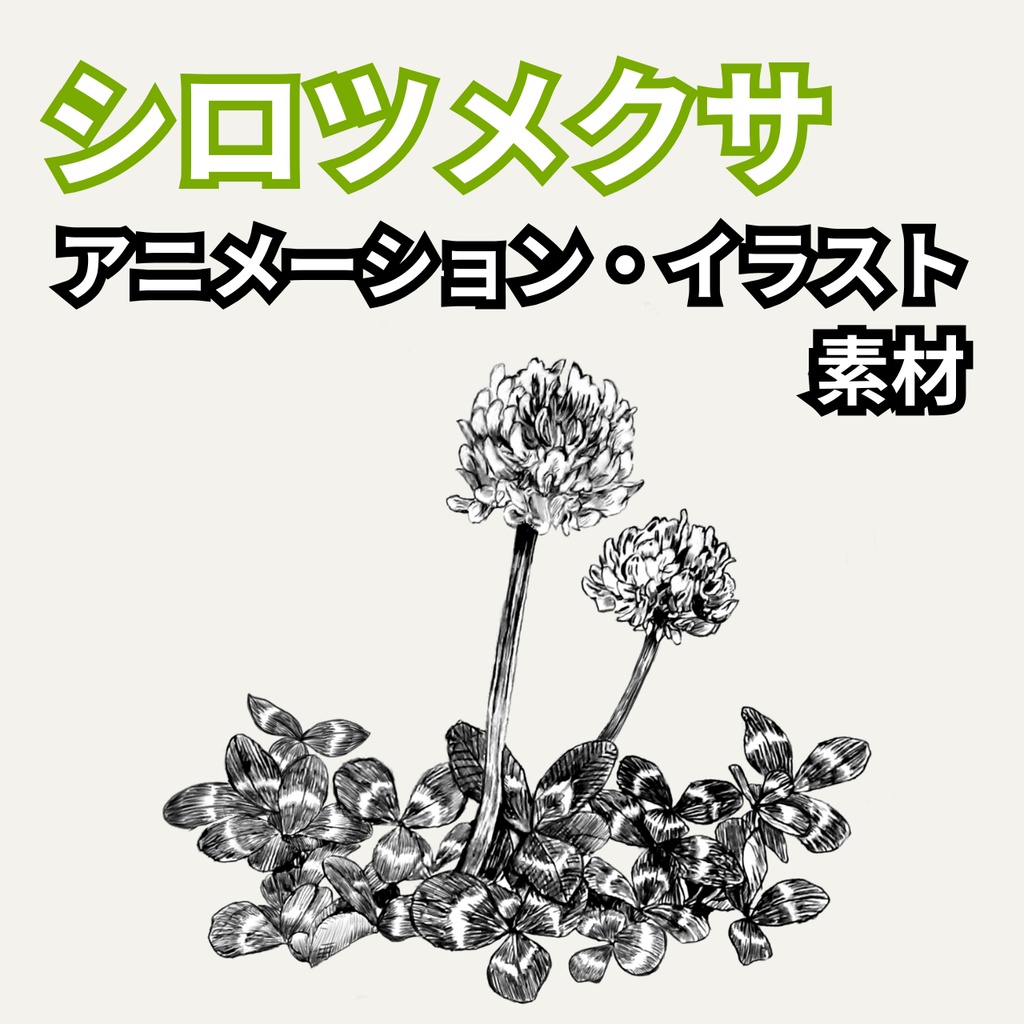 【無料配布】シロツメクサ　アニメーション・イラスト素材｜PVやMVに