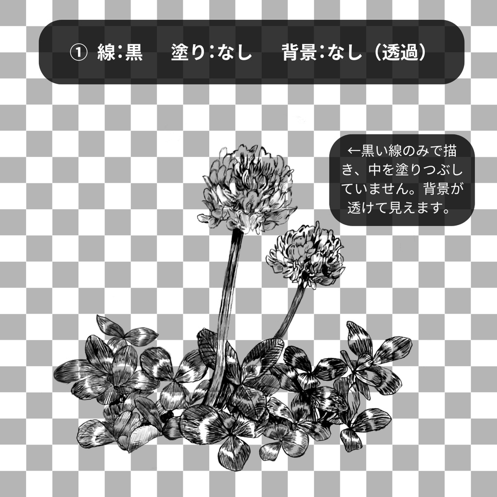 【無料お試しあり】シロツメクサ イラスト・アニメーション素材|小説表紙・MV・ゲームに
