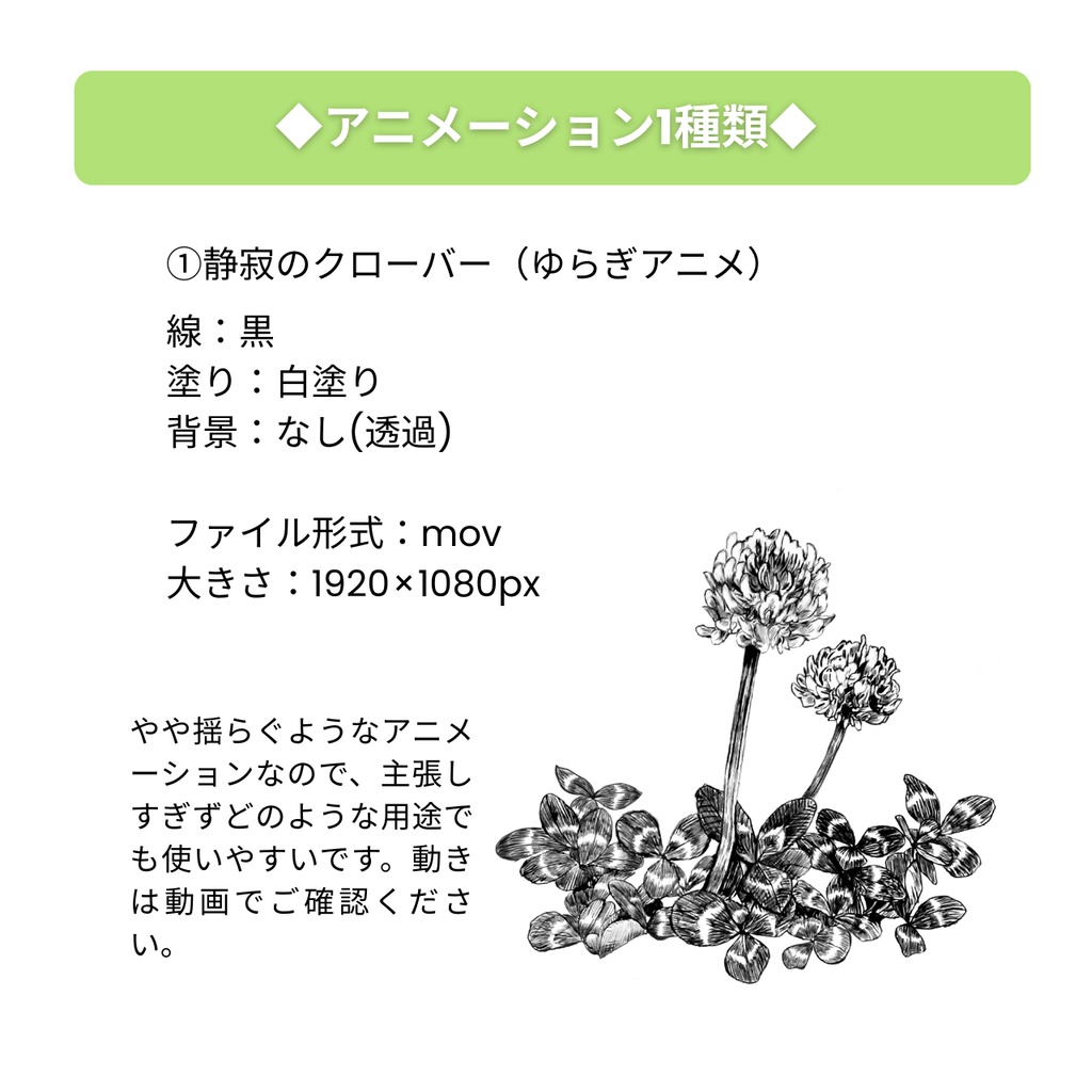 【無料配布】シロツメクサ アニメーション・イラスト素材|PVやMVに