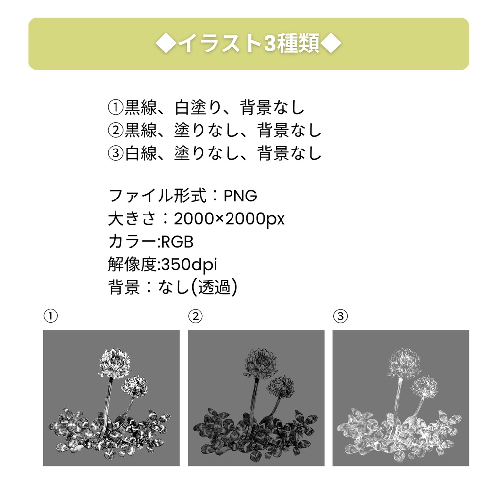 【無料配布】シロツメクサ アニメーション・イラスト素材|PVやMVに