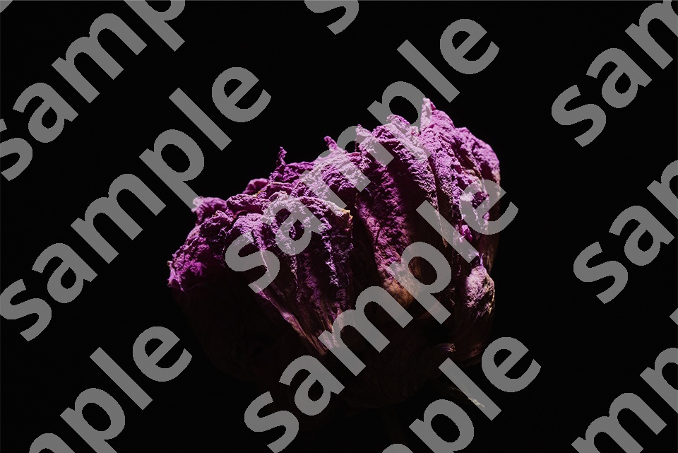 Self-Made Dry Flowers