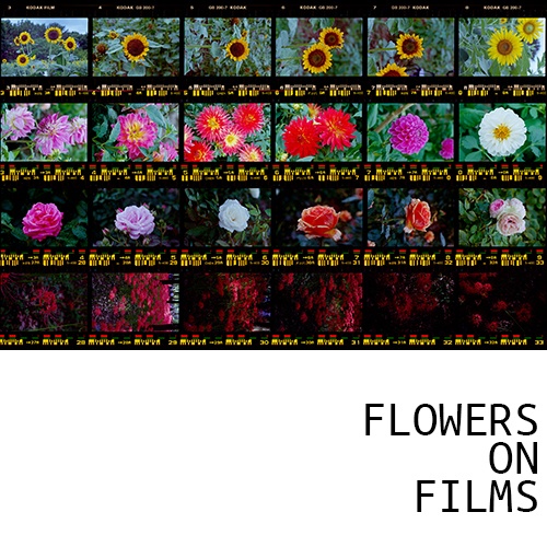 FLOWERS ON FILMS