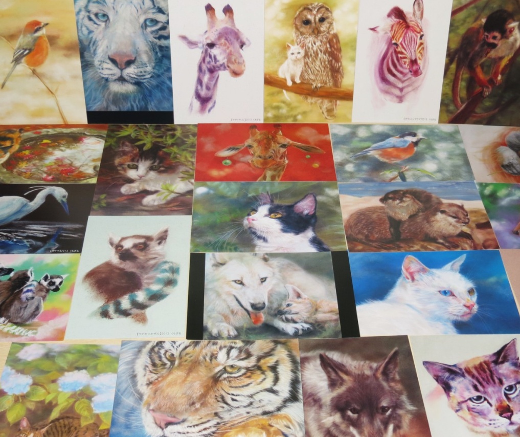 【ポストカード】おまかせ12枚セット