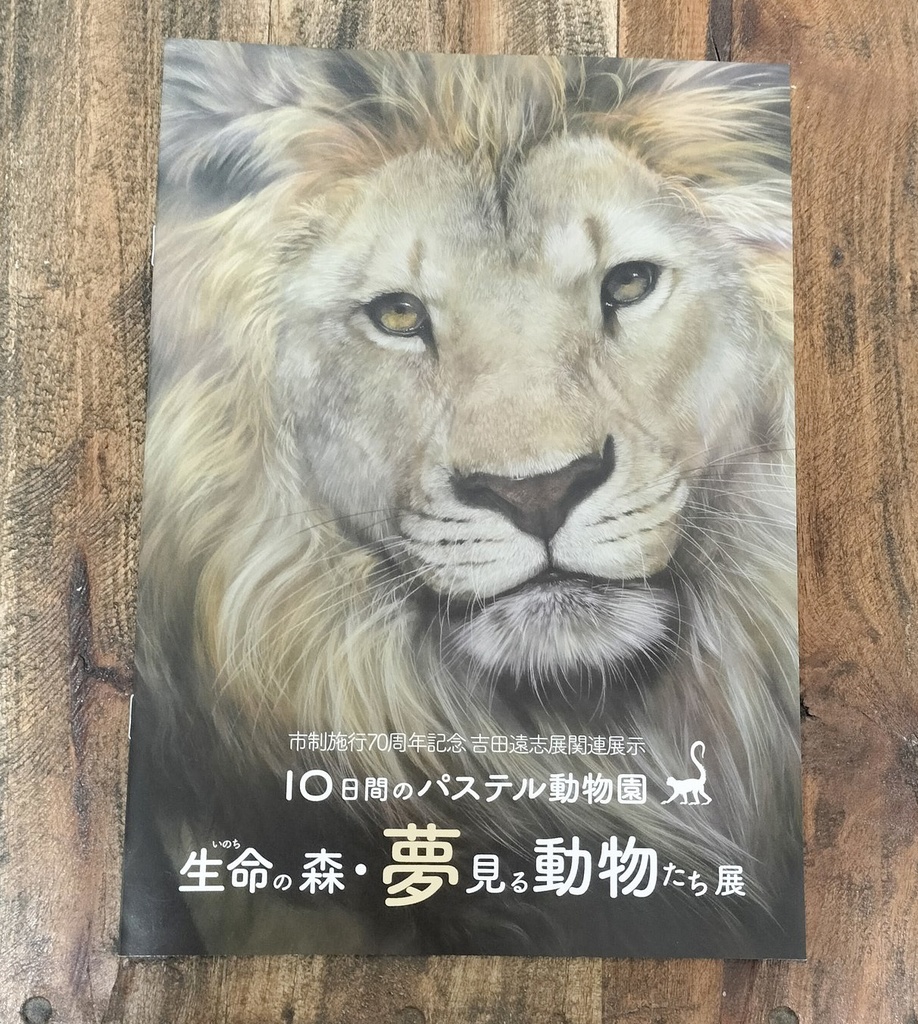 個展ガイドブック