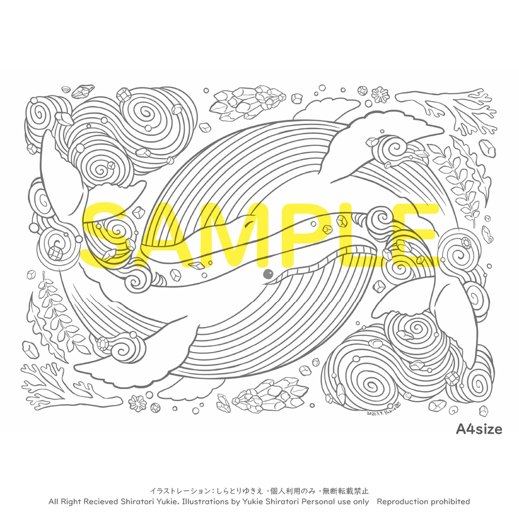 海の生き物 塗り絵