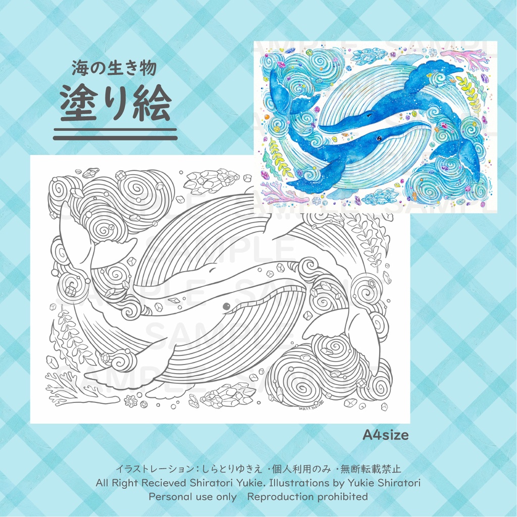 【3種類セット】海の生き物 塗り絵