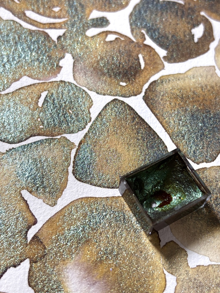 プレゼント色