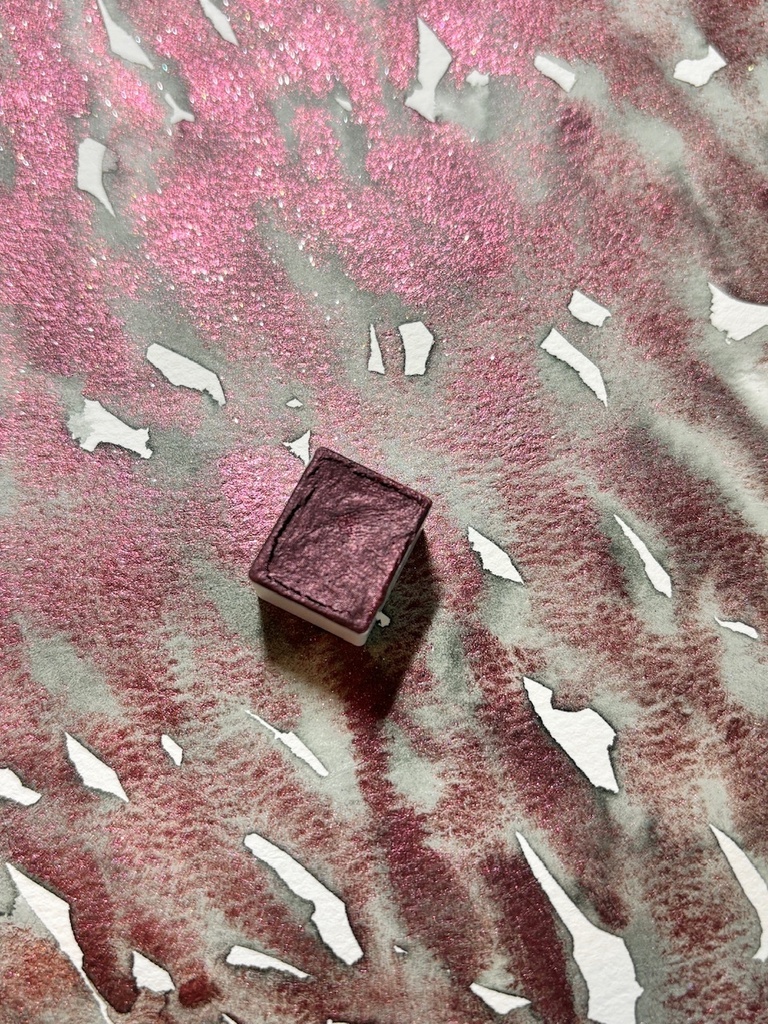 薔薇と影
