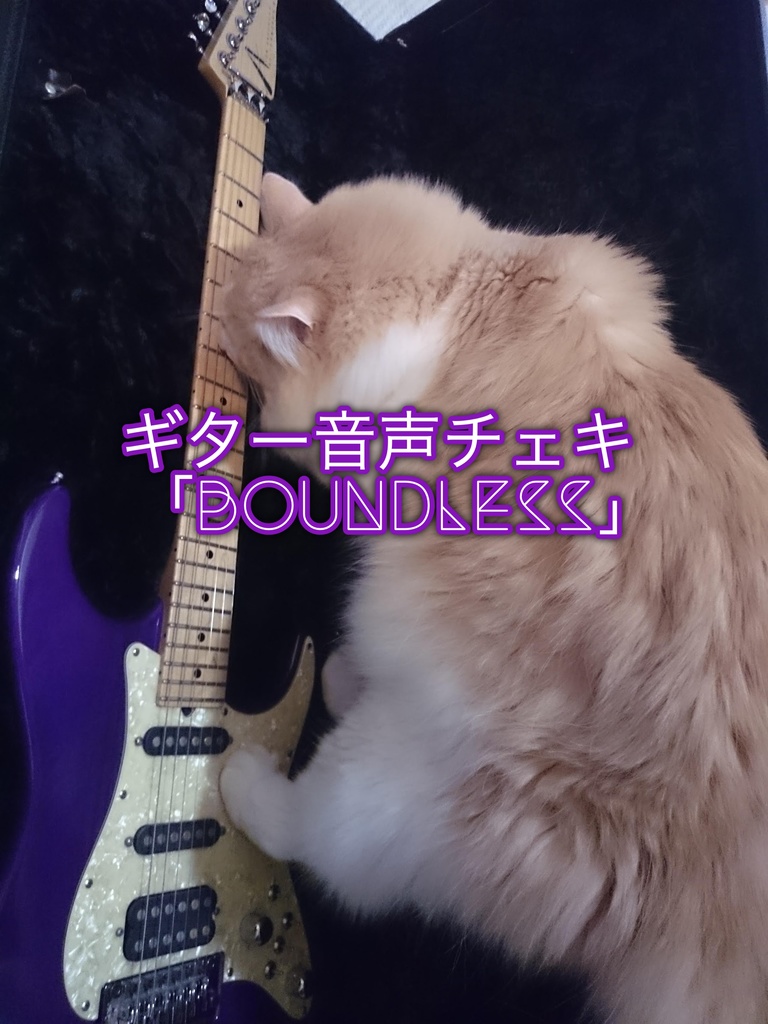 ギター音声チェキ「Boundless」
