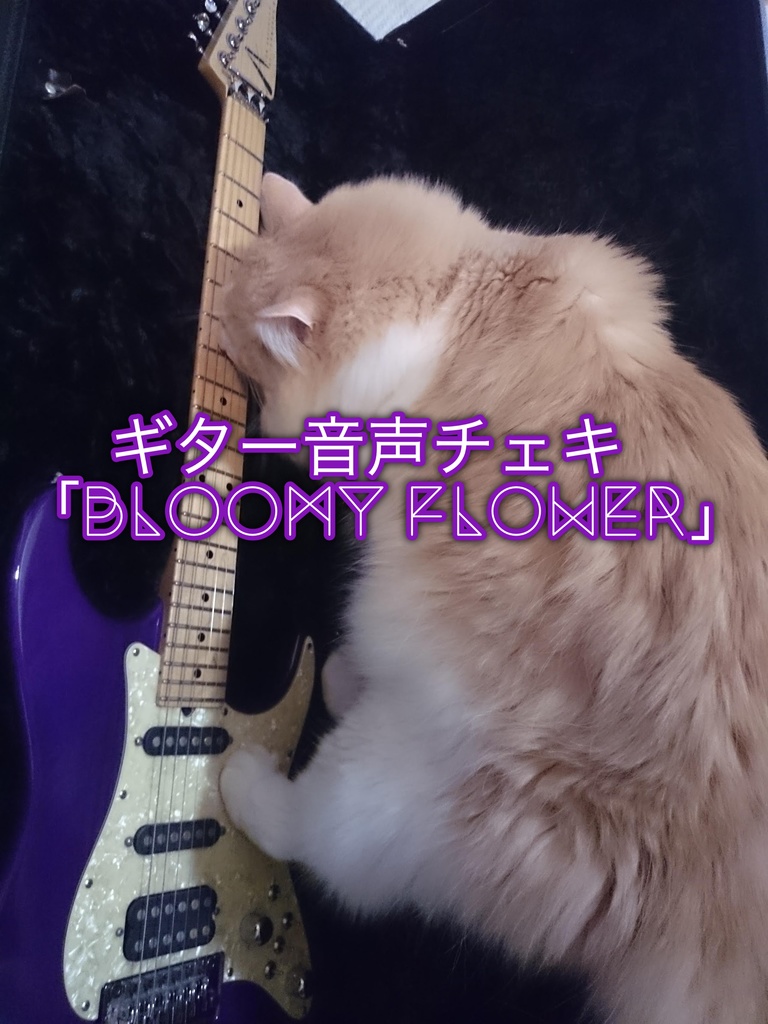 ギター音声チェキ「Bloomy flower」