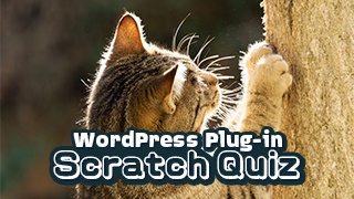 【WordPressプラグイン】Scratch Quiz