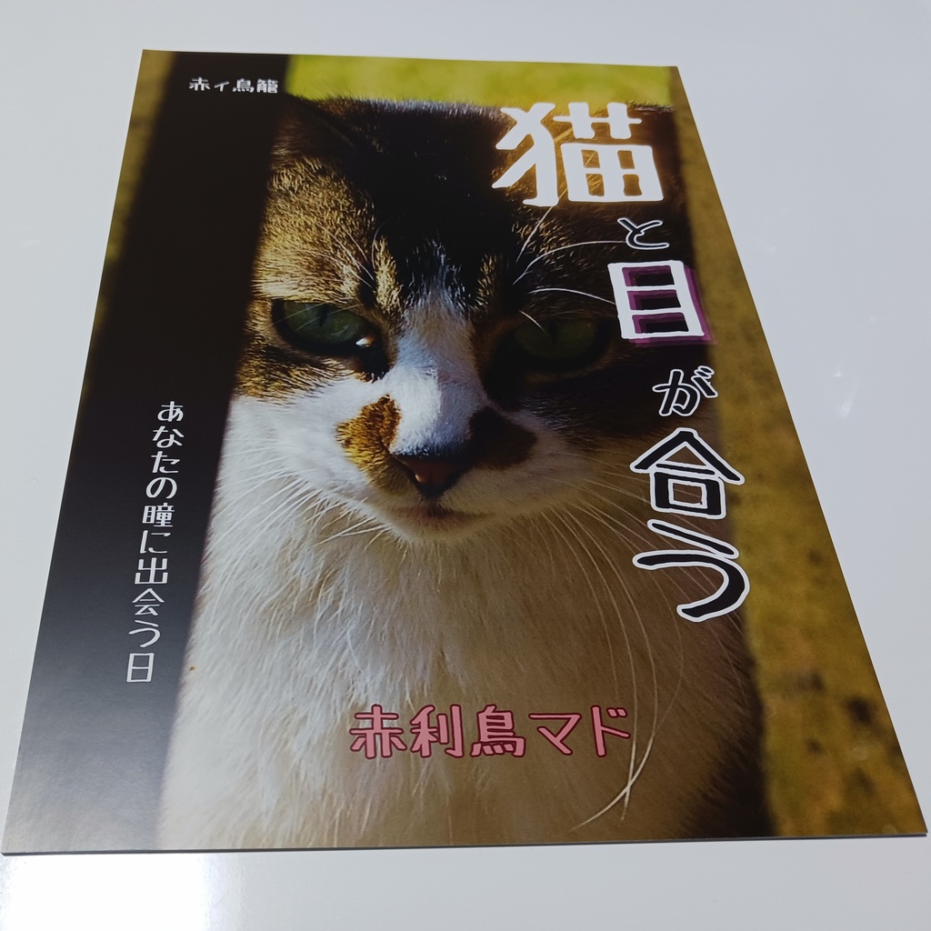 【写真詩集】猫と目が合う ─あなたの瞳に出会う日─(A4サイズ|24pフルカラー)