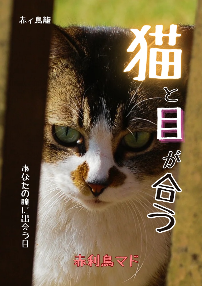 【写真詩集】猫と目が合う ─あなたの瞳に出会う日─(A4サイズ|24pフルカラー)