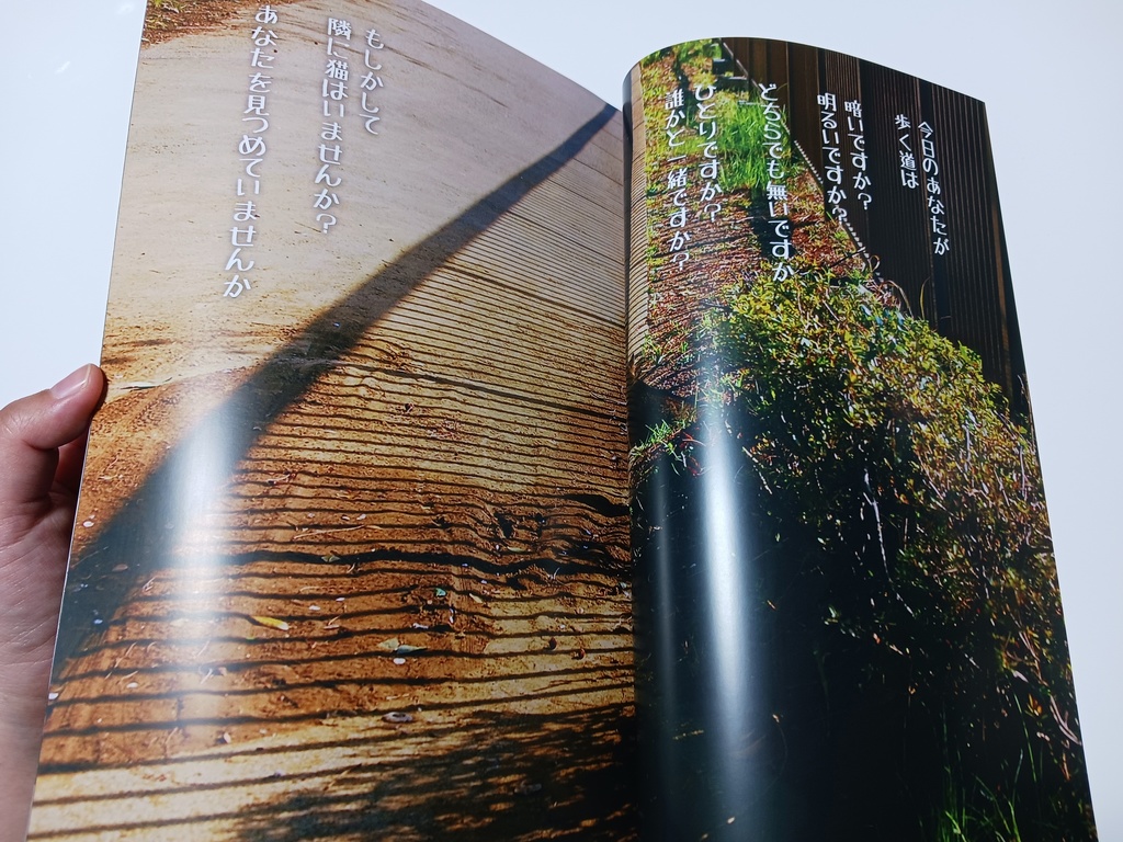 【写真詩集】猫と目が合う ─あなたの瞳に出会う日─(A4サイズ|24pフルカラー)