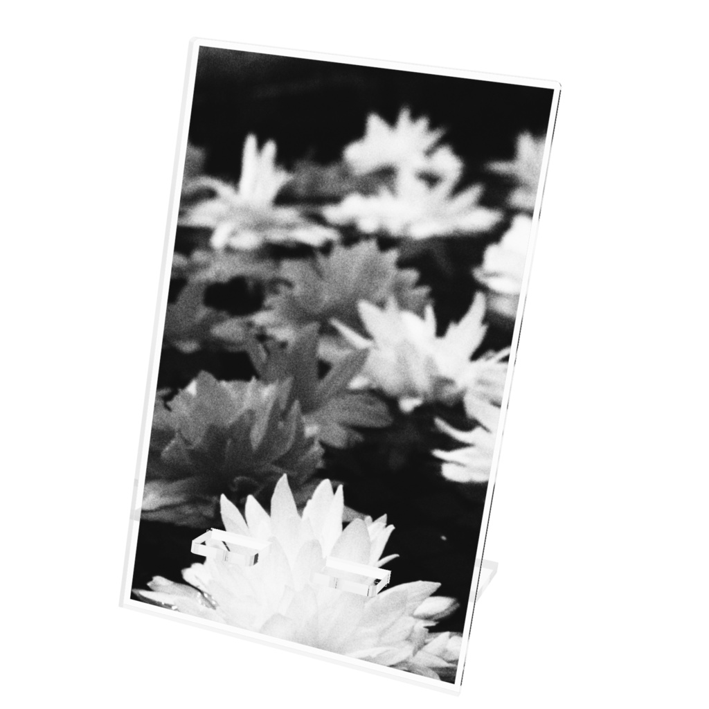 【アクリルスマホスタンド】Monochrome Flower