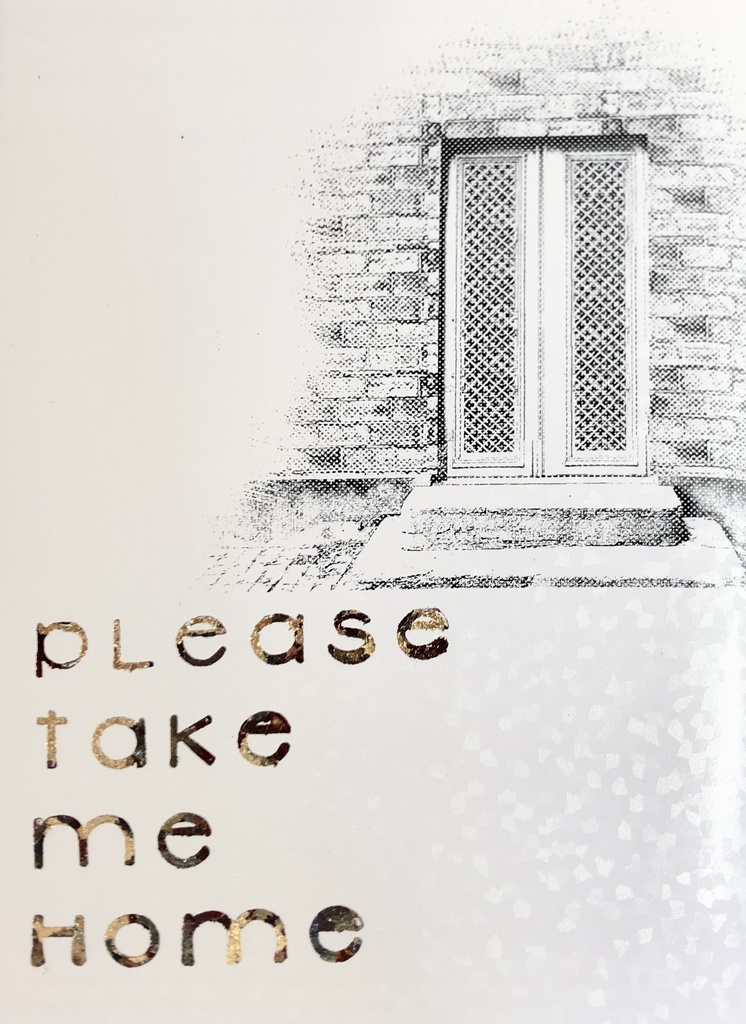please take me home