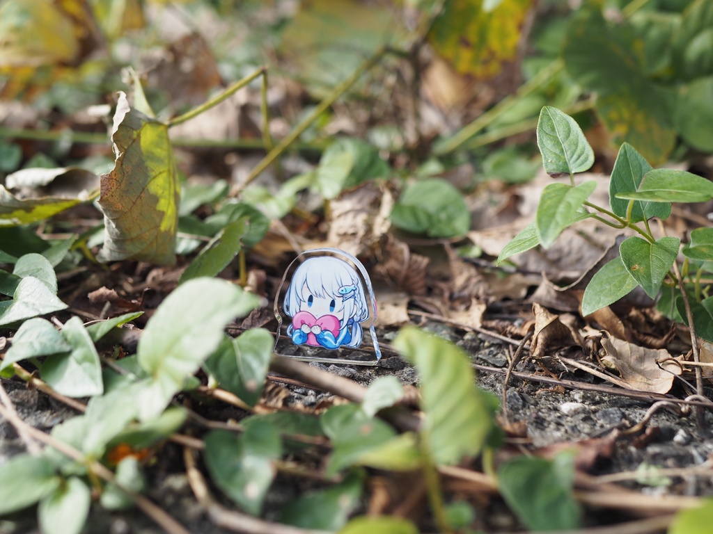 魚川のミニアクスタ