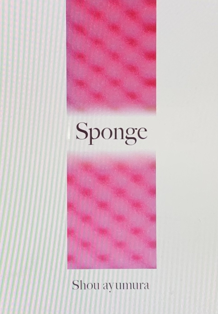 sponge