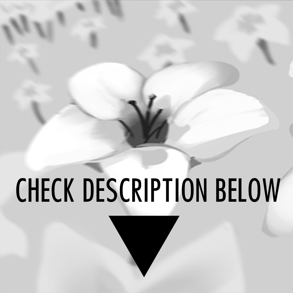 Kasvmi Vket 2025 Winter Booth Socials