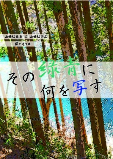 その緑青に何を写す