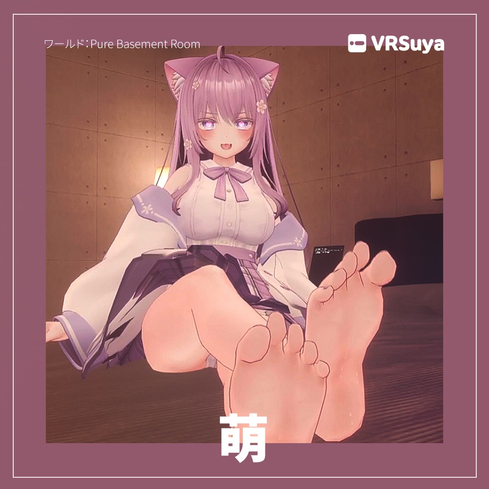 HopeskyD 足足プロジェクト