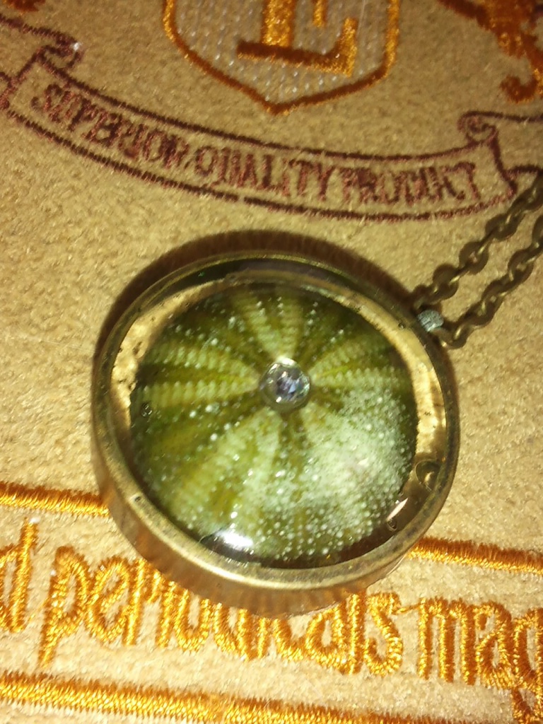 【007】雲丹のペンダント