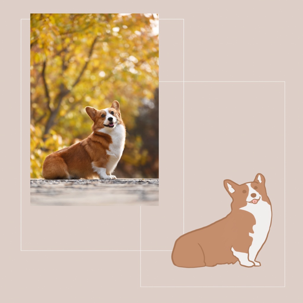 ◆イラストオーダー/犬◆