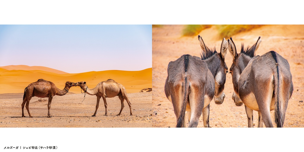 モロッコ風景写真集「Wandering The World 2 -Morocco-」