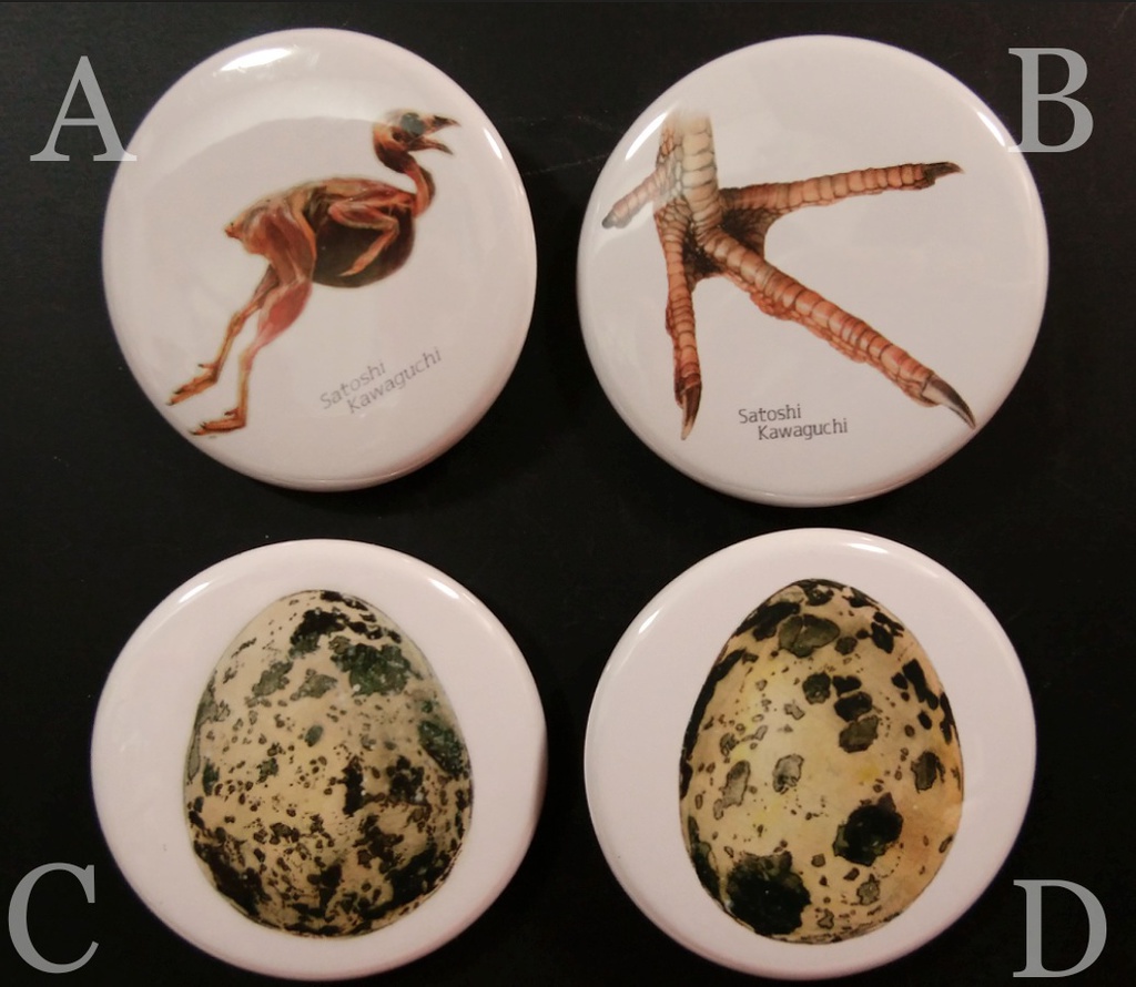 缶バッジ(残り3種)