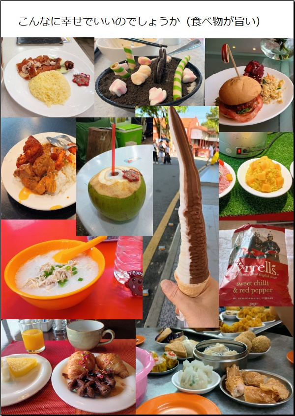 マレーシア旅行記2024(電子)