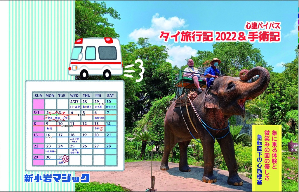 タイ旅行記2022&心臓バイパス手術記（書籍版）
