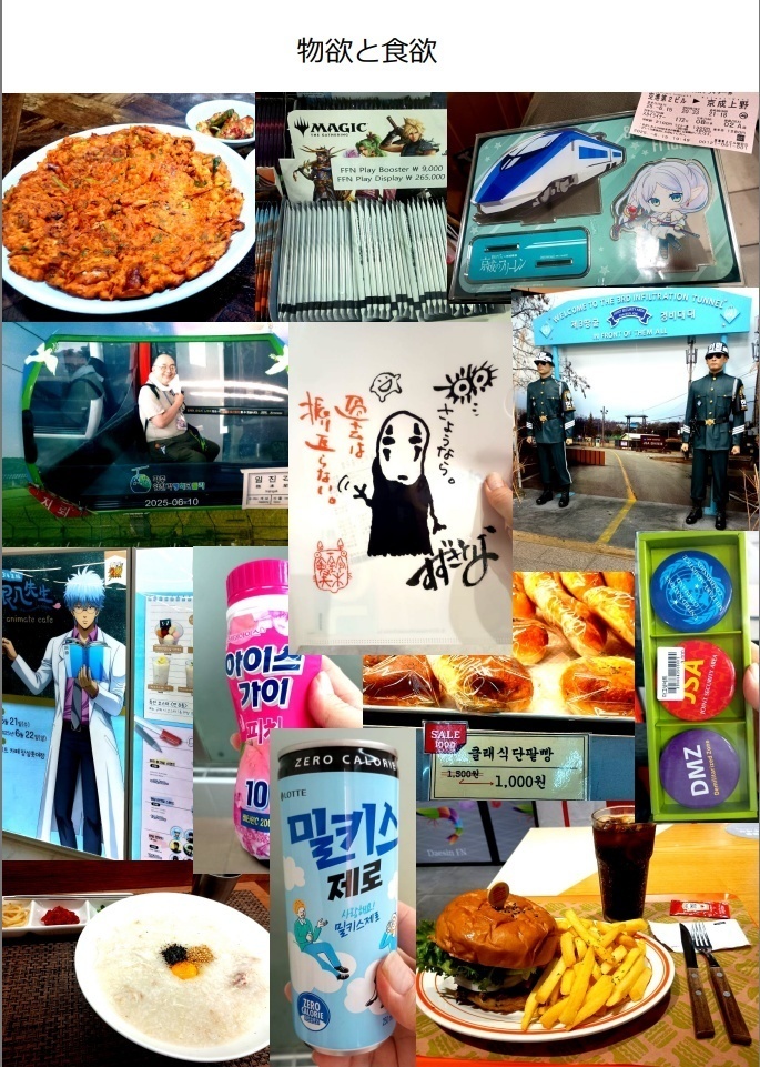 韓国旅行記2025(書籍版)