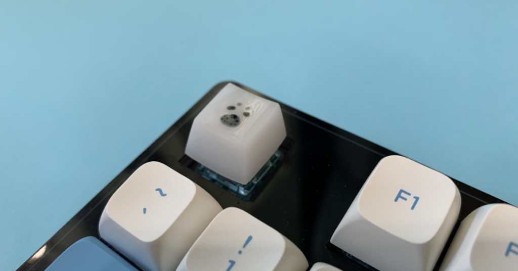 ゴマフアザラシキーキャップ