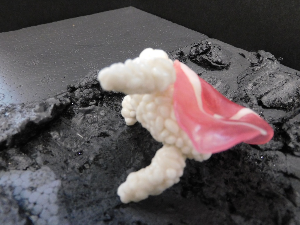 休日のお寿司(生ハム)~樹脂粘土ver~